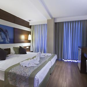 Basic Single Room
